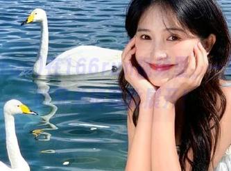 在166run视频里，一场意外的兄弟情就此展开！