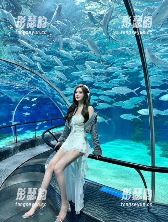 hlw官网一更新，我的世界仿佛又被刷新了一遍，啧啧啧！
