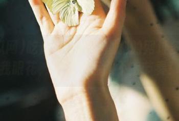 吃瓜网导航：爆料的网址多得让我眼花，真是有点跟不上节奏！