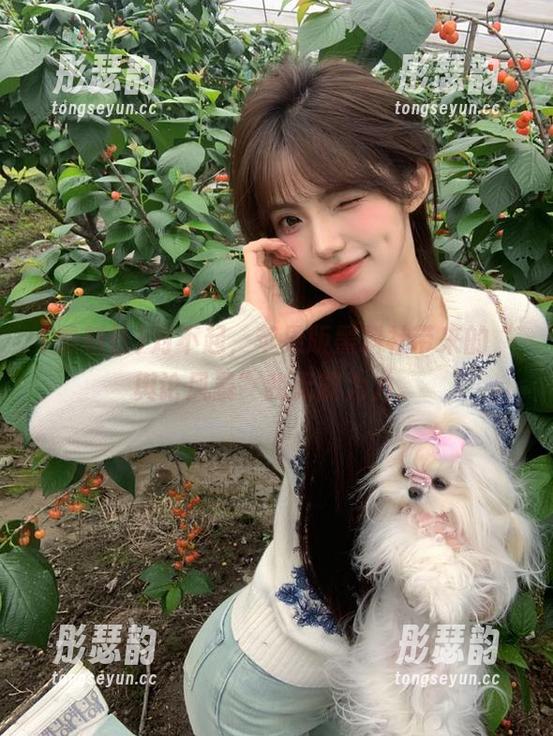 对不起，苹果版黑料社带来的“舆论风暴”我无能为力。